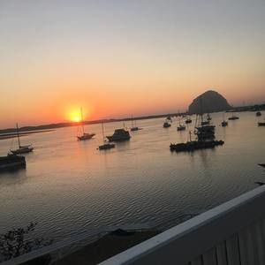 Meet your Posher, Dianne